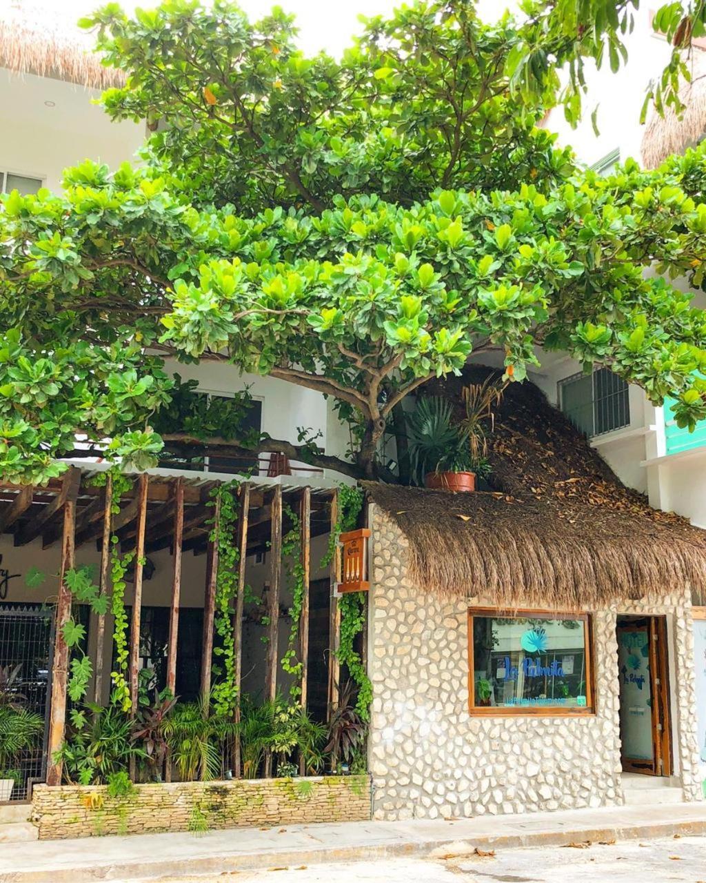 La Palmita Budget Boutique